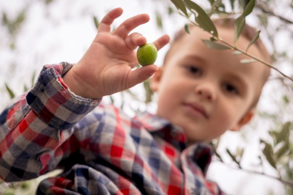 olio extravergine nocellara castelvetrano 00043